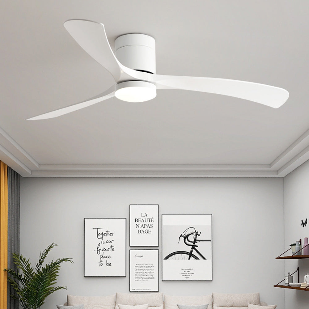 Modern Simple Dimming Acrylic Smart Fan Light