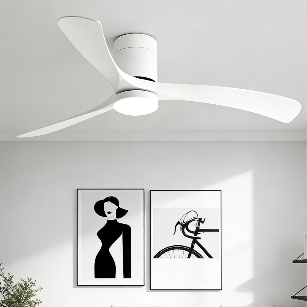 Modern Simple Dimming Acrylic Smart Fan Light