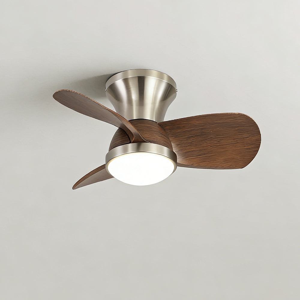 Elegant Fashionable lron LED Ceiling Fan Light