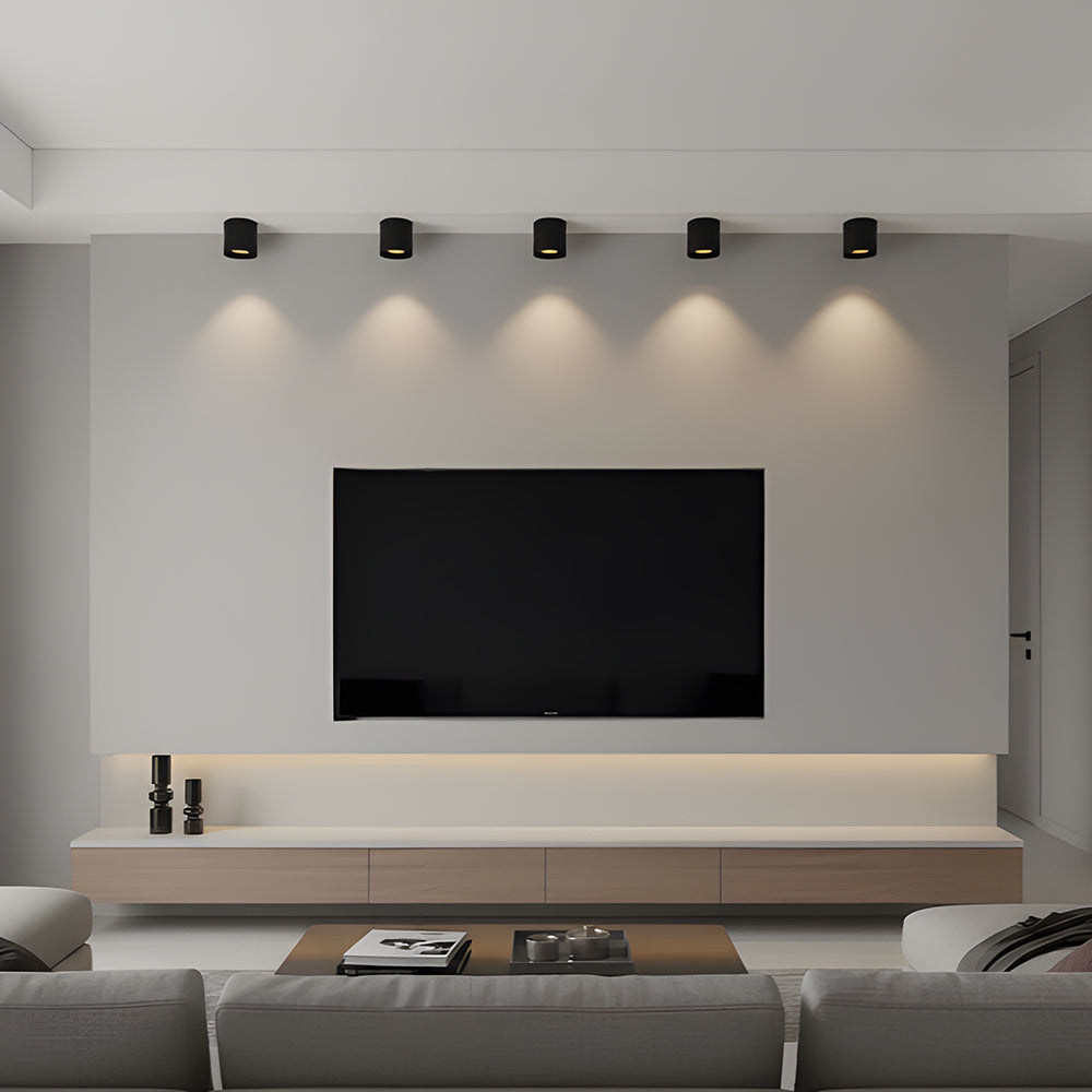 Minimalist Cylinder Aluminum LED Ceiling Light