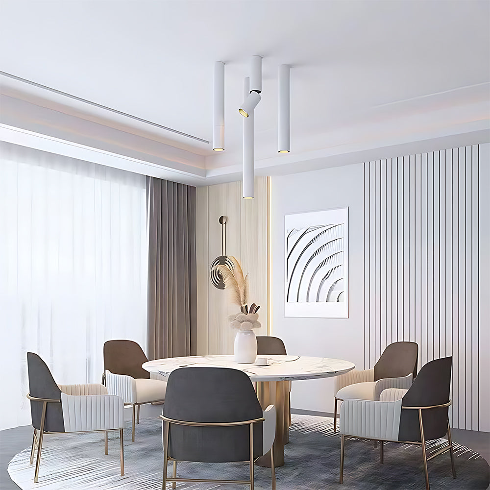 Minimalist Surface-Mounted Adjustable Angle Cylindrical Aluminum Spot Ceiling Light