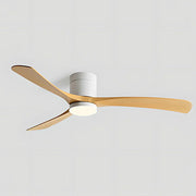 Ceiling Fans